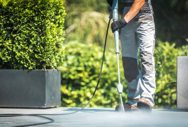 Animal Enclosure Cleaning in Knightsen, CA
